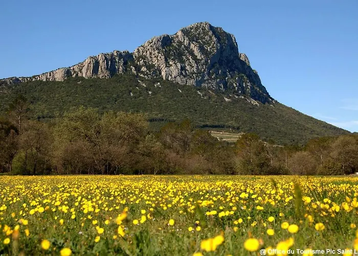 L'hospitalet *